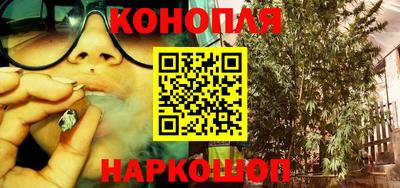 mdpv Брянск