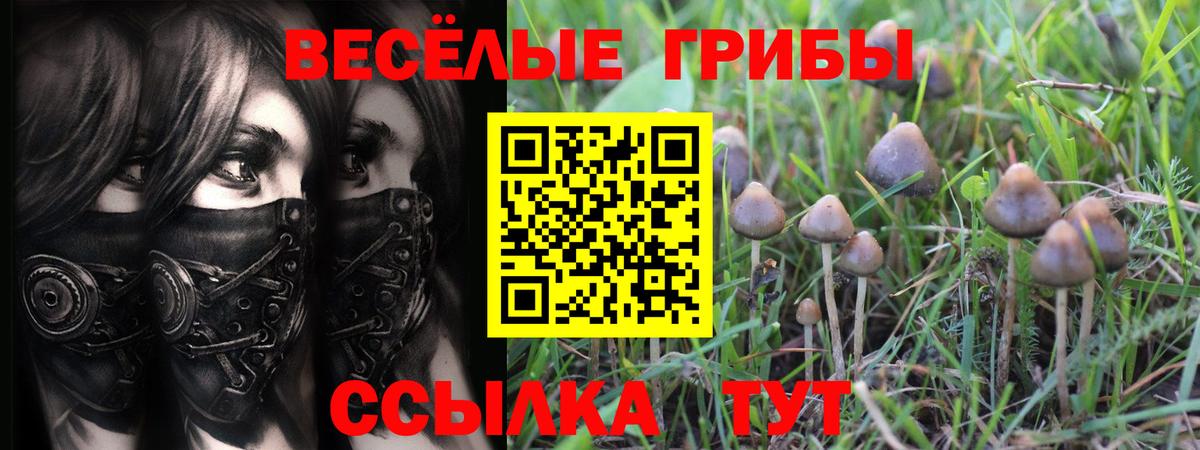 Галлюциногенные грибы мухоморы  Вход с VPN  Альметьевск 
